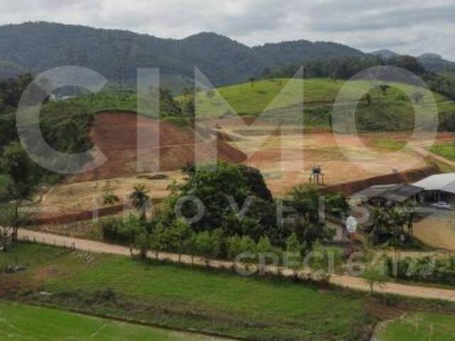 Terreno para Venda em Gaspar - 5