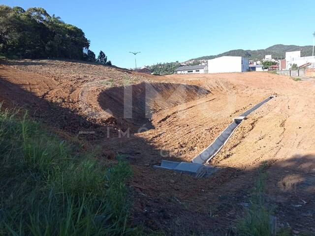 Terreno para Venda em Blumenau - 4