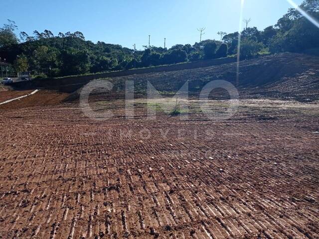 Terreno para Venda em Blumenau - 5