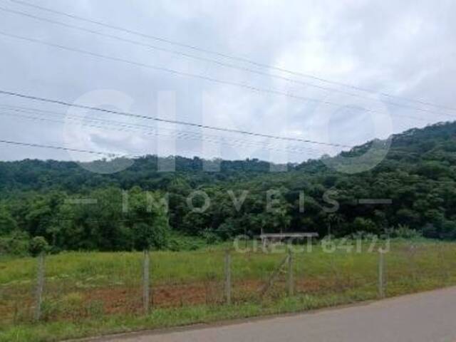 Terreno para Venda em Luiz Alves - 4