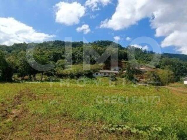 Terreno para Venda em Luiz Alves - 5