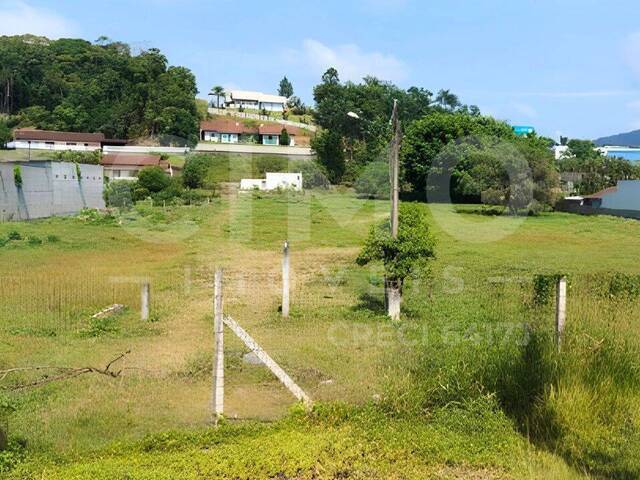 #1355 - Terreno para Venda em Blumenau - SC - 1