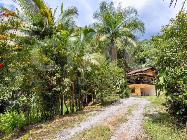 #1833 - Sítio para Venda em Blumenau - SC - 3
