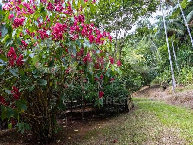 Sítio para Venda em Blumenau - 5