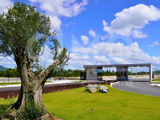 Galpão para Venda em Navegantes - 5