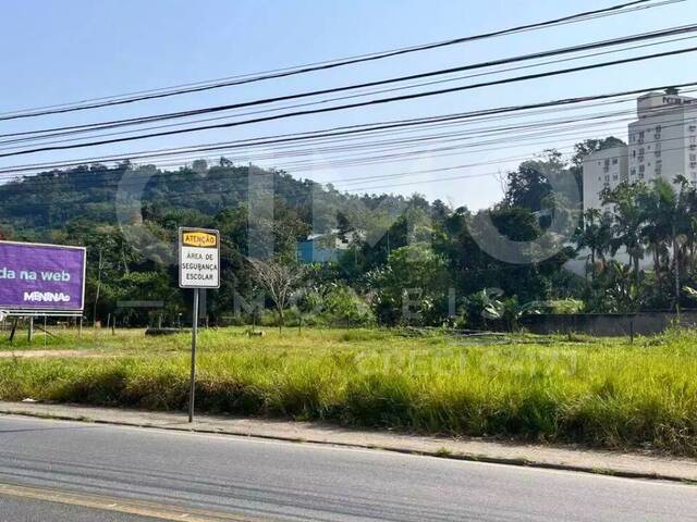 #1903 - Terreno para Venda em Blumenau - SC - 3