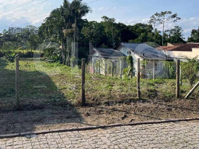 #1905 - Terreno para Venda em Indaial - SC - 1