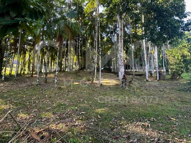 #2077 - Terreno para Venda em Blumenau - SC - 3