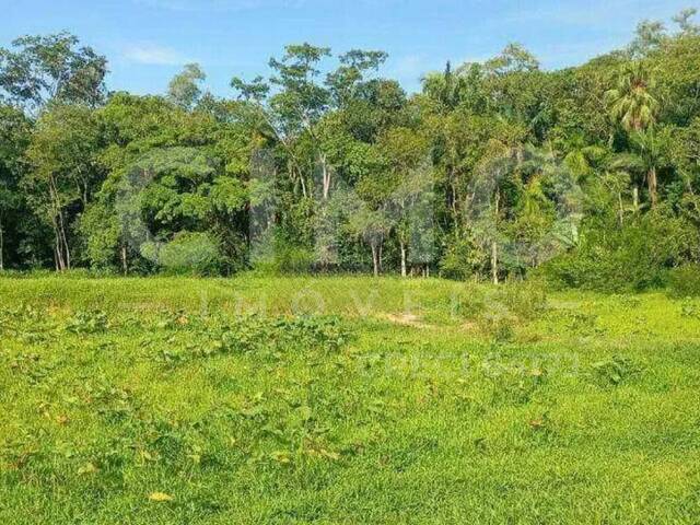 #2078 - Terreno para Venda em Blumenau - SC - 1