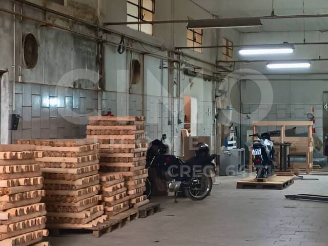 #2116 - Galpão para Locação em Indaial - SC - 3