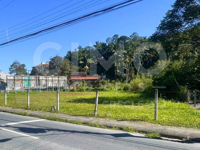 Terreno para Locação em Blumenau - 3