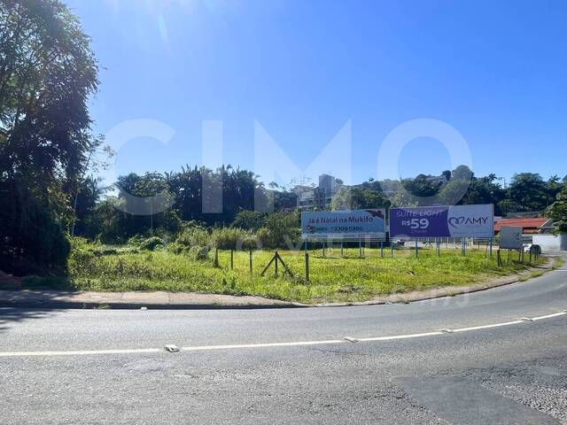 Terreno para Locação em Blumenau - 5