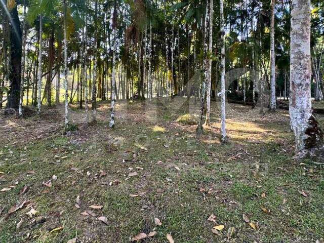 Terreno para Venda em Blumenau - 4